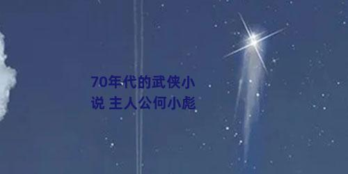 70年代的武侠小说 主人公何小彪